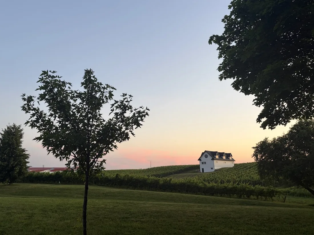 A house and a field at dusk.
